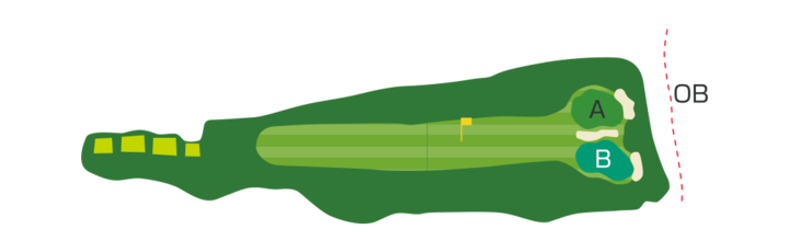 Large