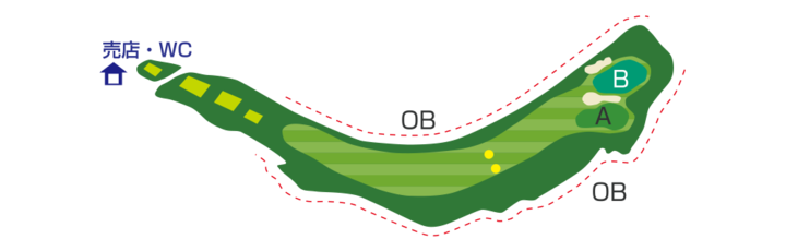 Large