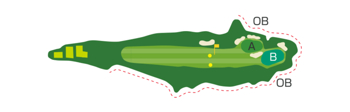 Large
