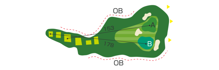 Large