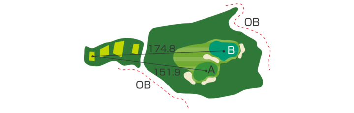 Large