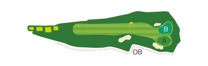 Large